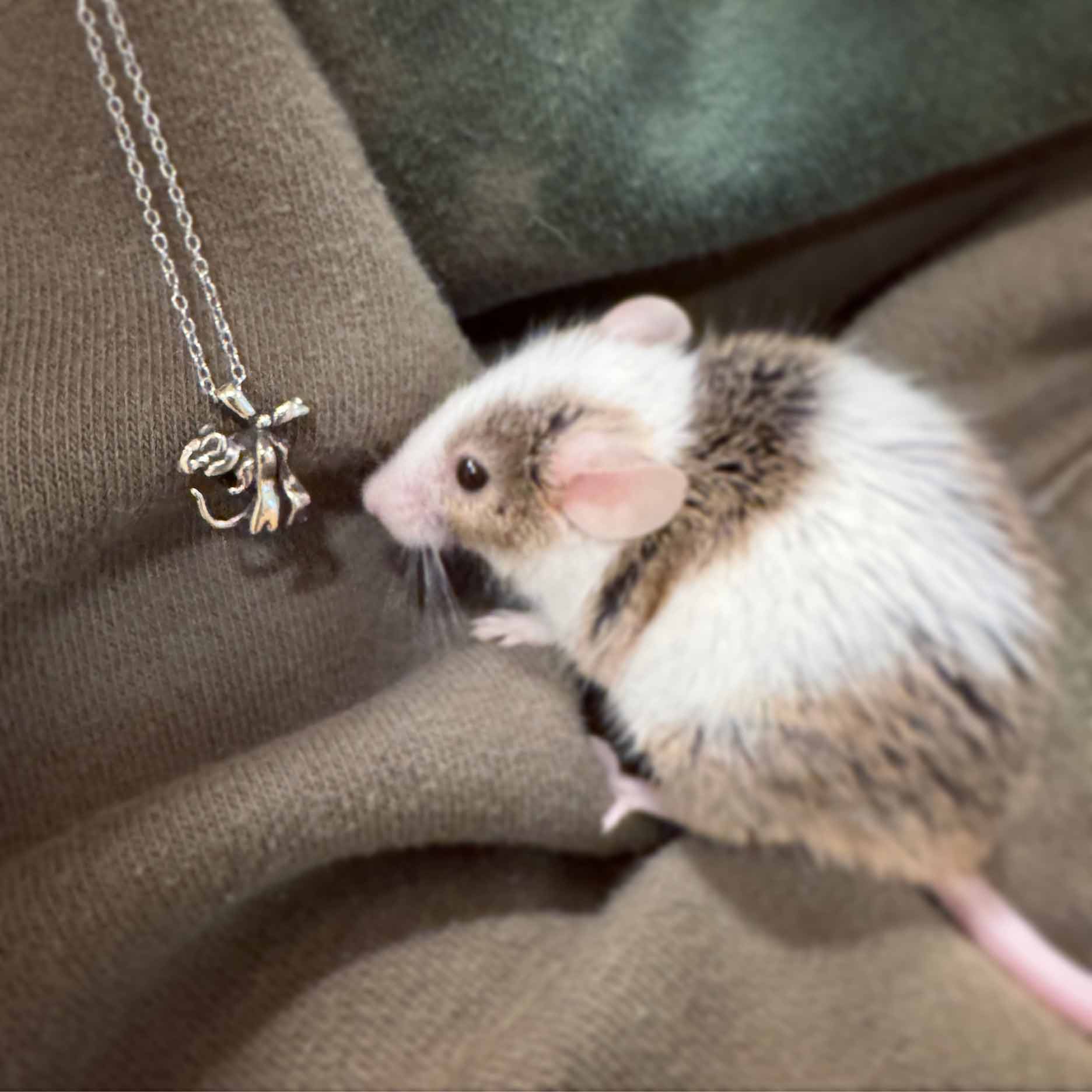 Cute Mouse Pendant Necklace - Stainless Steel Animal Necklace, 45cm Chain With Gift Box