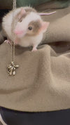 Rat Bow Necklace