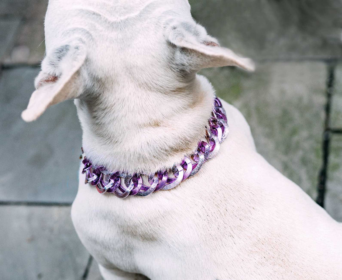 Dog Collar "The Pink" - Anomaly Jewelry