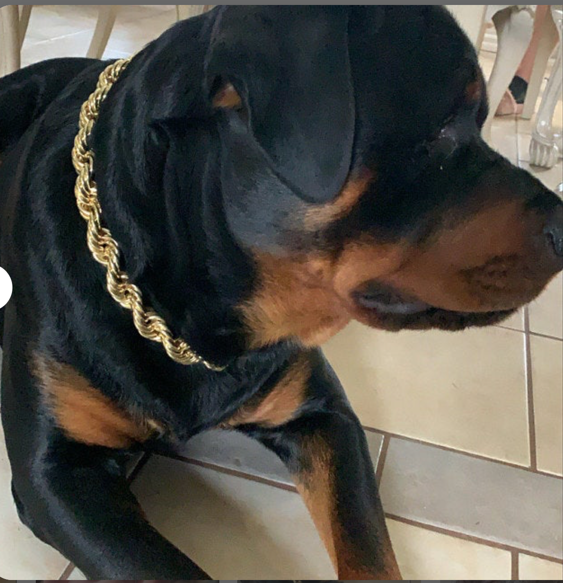 Donkey rope 2025 gold chain