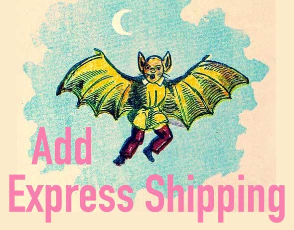 Add Express Shipping to your order - Anomaly Jewelry
