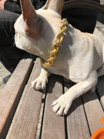 Dog Collar "The Dookie" - Anomaly Jewelry